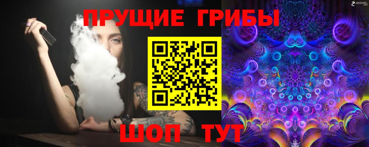 купить  сайты  Псилоцибиновые грибы Psilocybine cubensis  Псилоцибиновые грибы Cubensis  Вход с VPN  Бутурлиновка 